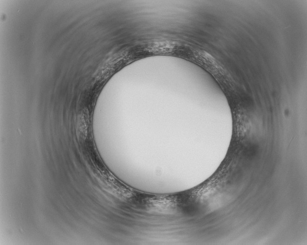 X0000060740370200511141139