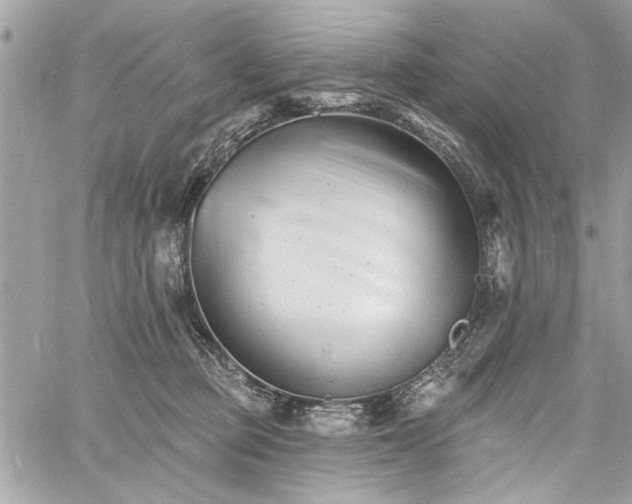 X0000060740373200511141139