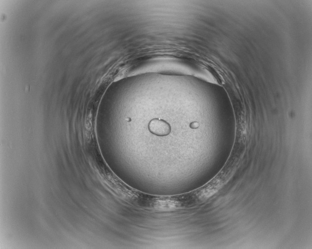 X0000060740376200511141139