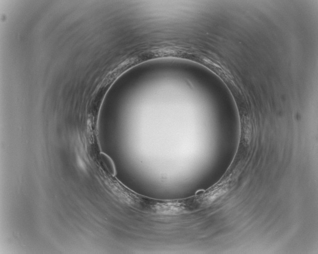 X0000060740378200511141139