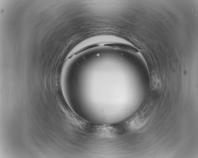 X0000060740379200511141139