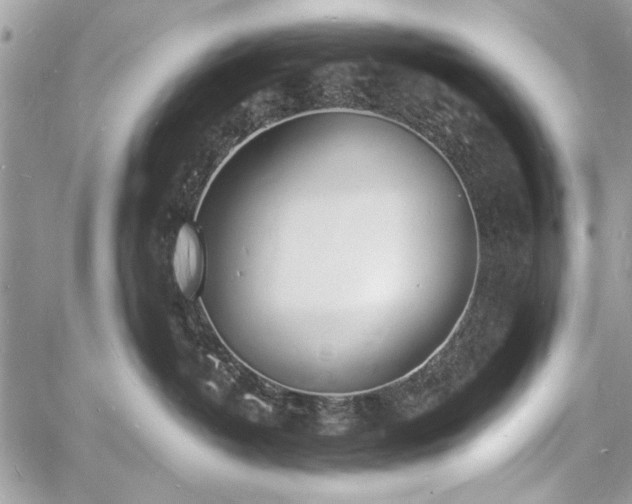 X0000060740382200511141139