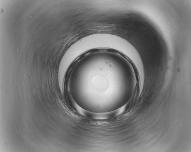 X0000060740383200511141139