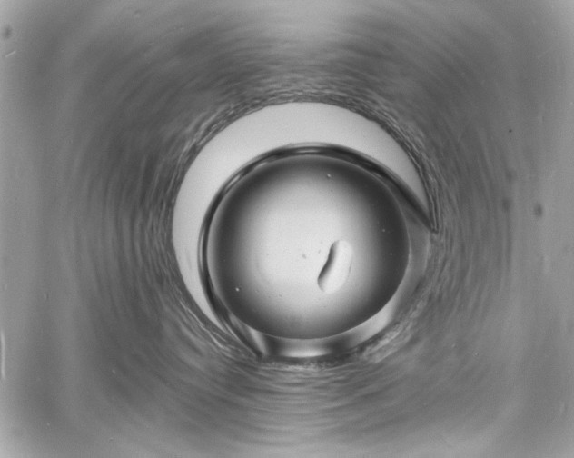 X0000060740384200511141139