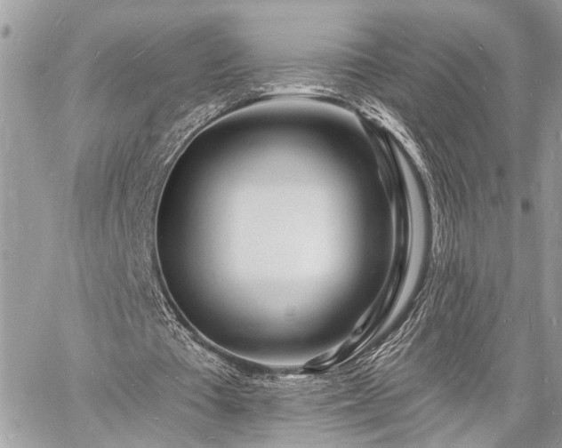 X0000060740385200511141138