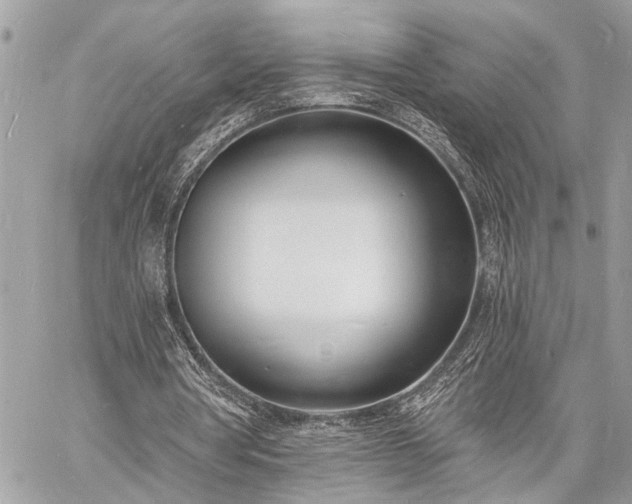 X0000060740386200511141138