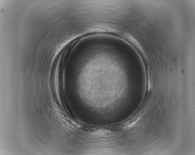 X0000060740387200511141138