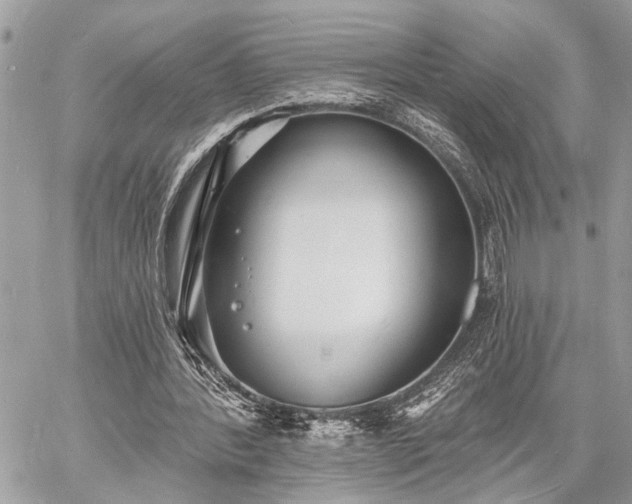 X0000060740388200511141138