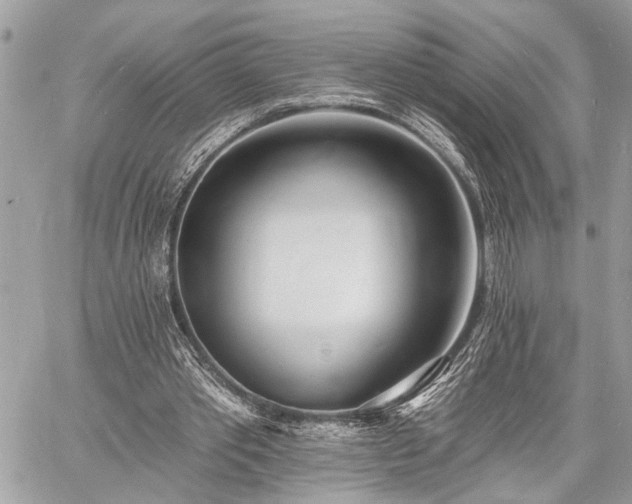 X0000060740389200511141138