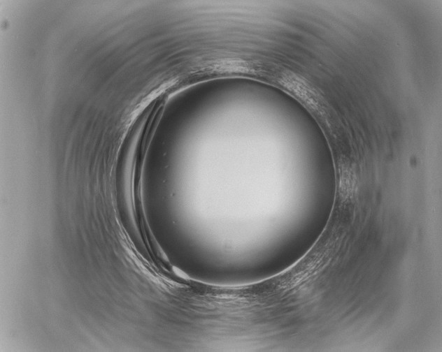 X0000060740390200511141138