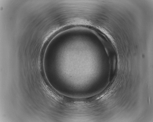 X0000060740391200511141138