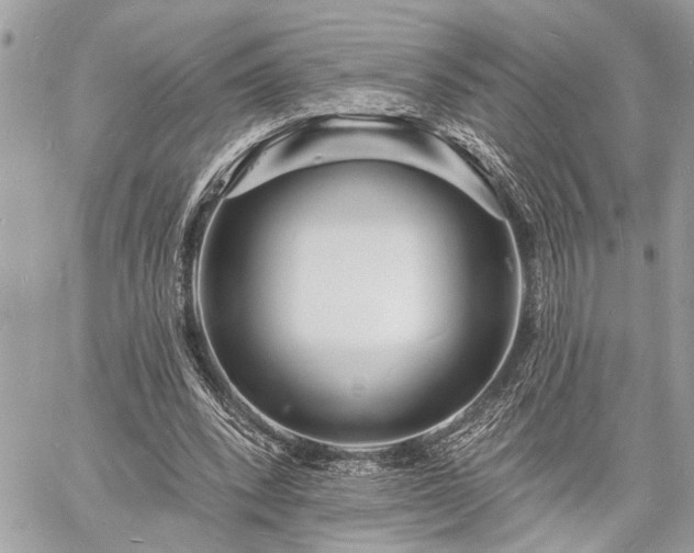 X0000060740392200511141138