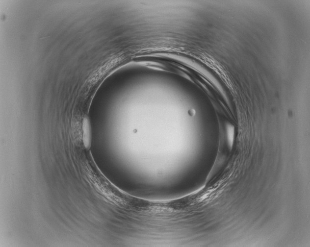 X0000060740393200511141138