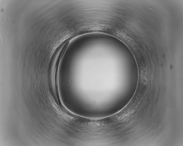 X0000060740394200511141138