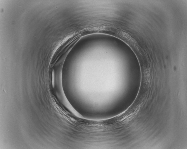 X0000060740395200511141138