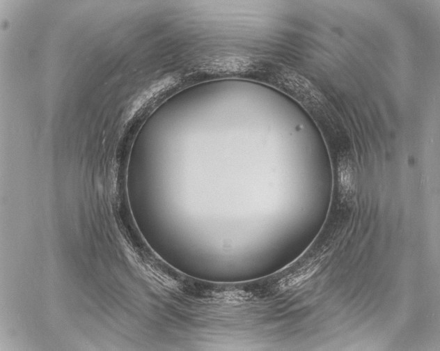 X0000060740396200511141138