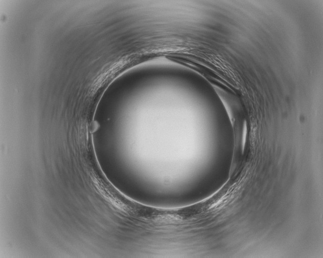 X0000060740397200511141138