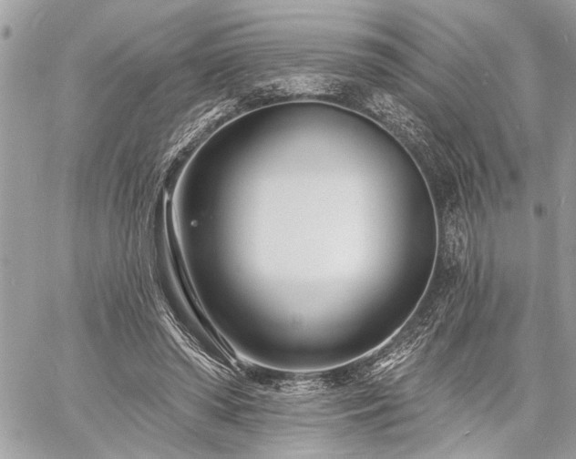 X0000060740398200511141138