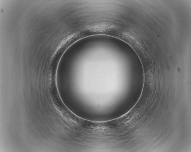 X0000060740400200511141138