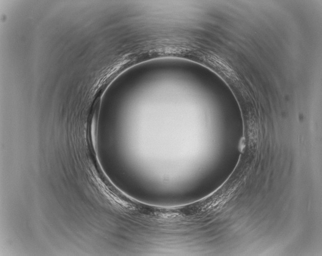 X0000060740401200511141138