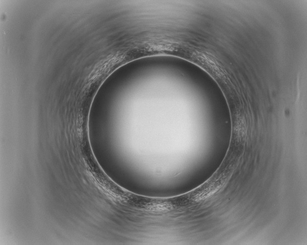 X0000060740402200511141138