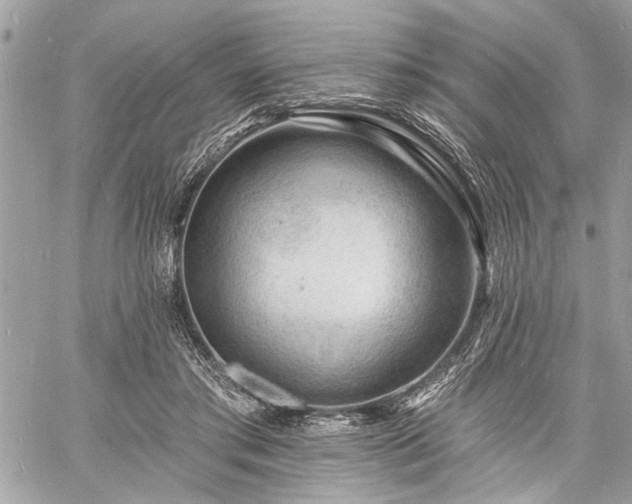 X0000060740405200511141138