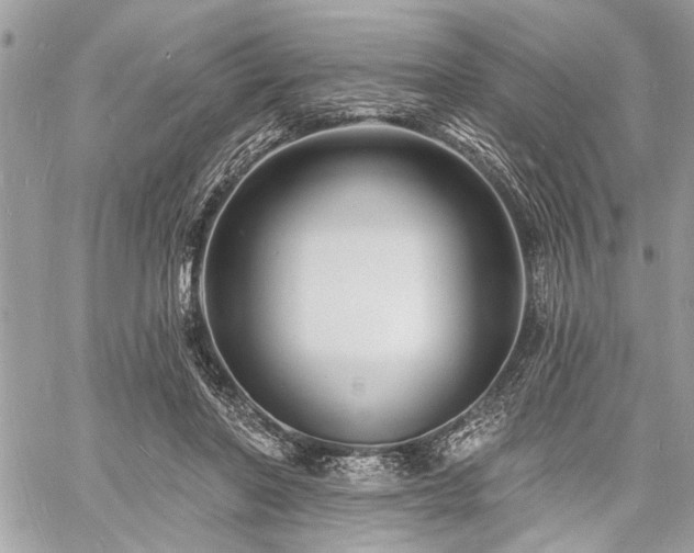 X0000060740406200511141138