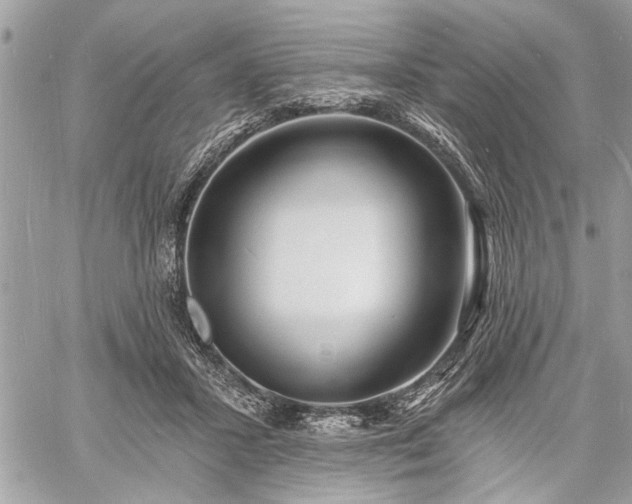 X0000060740407200511141138