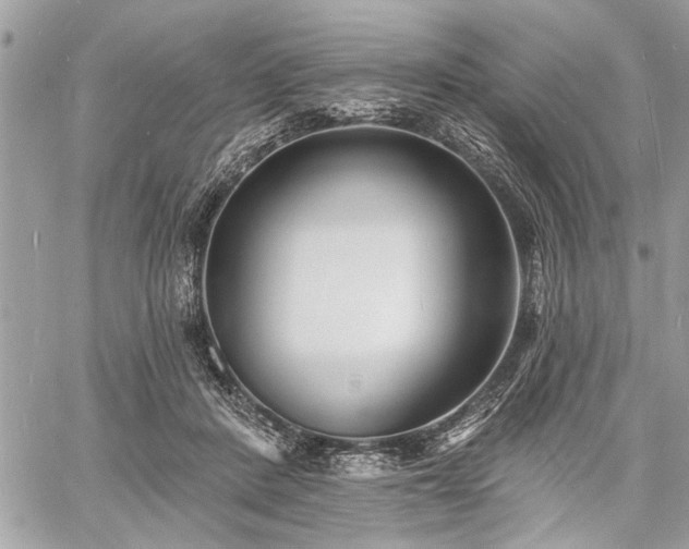 X0000060740408200511141138