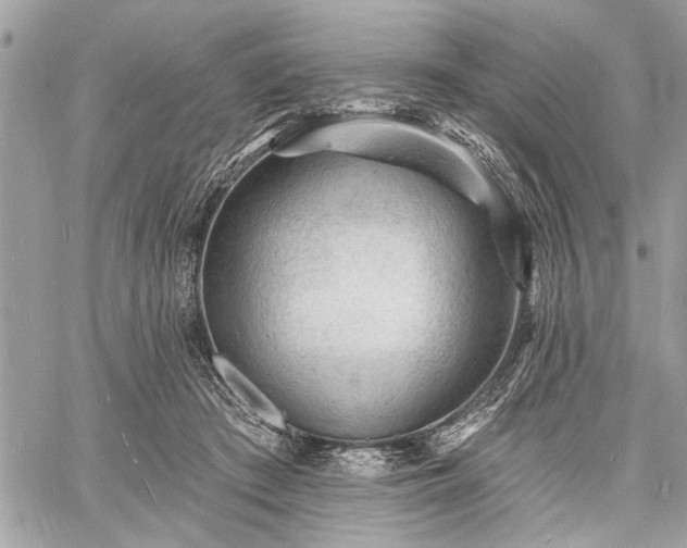 X0000060740409200511141138