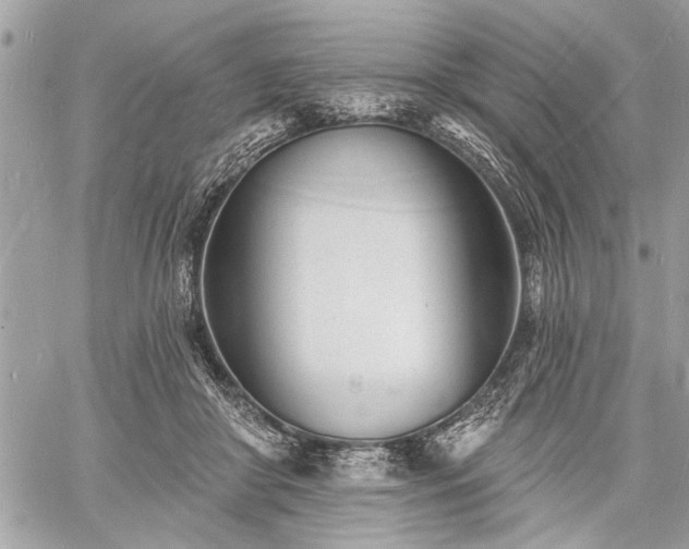 X0000060740410200511141138