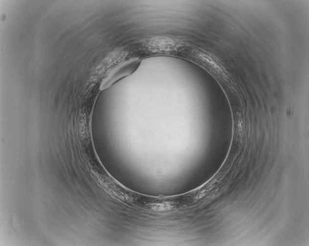 X0000060740411200511141138