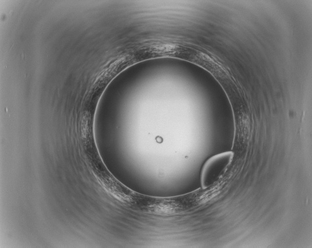 X0000060740412200511141138