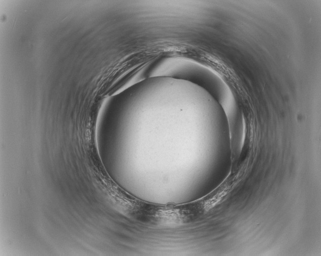 X0000060740413200511141138