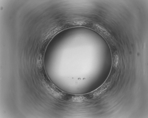 X0000060740414200511141138