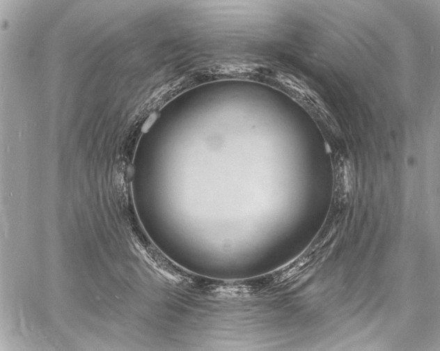 X0000060740415200511141138