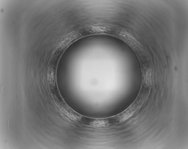 X0000060740418200511141138