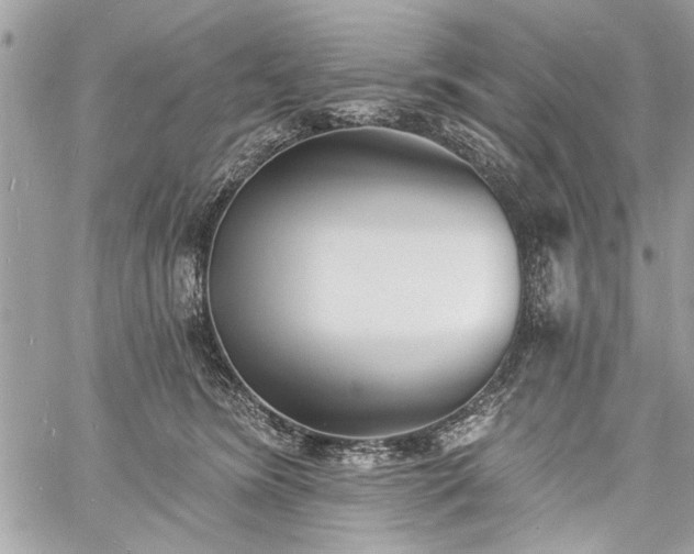 X0000060740420200511141138