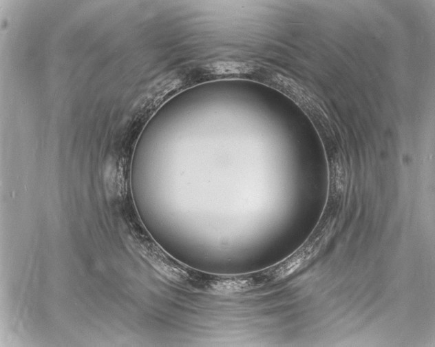 X0000060740422200511141138