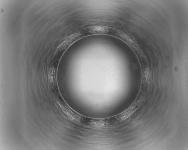 X0000060740423200511141138