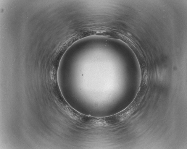 X0000060740424200511141138