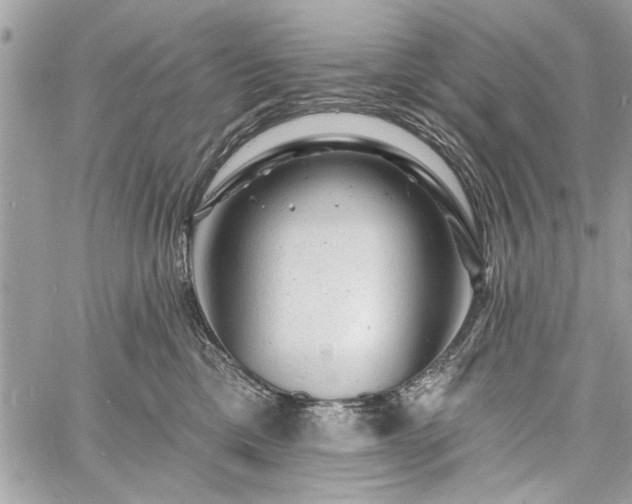 X0000060740425200511141138