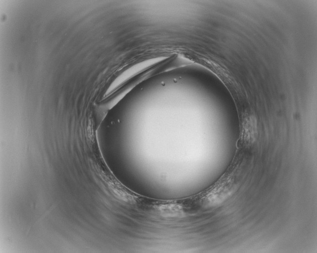 X0000060740426200511141138