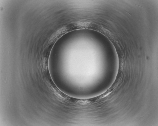 X0000060740428200511141138