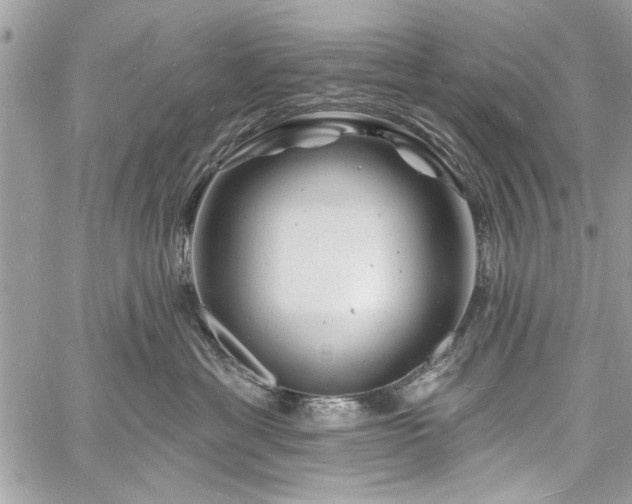 X0000060740429200511141138