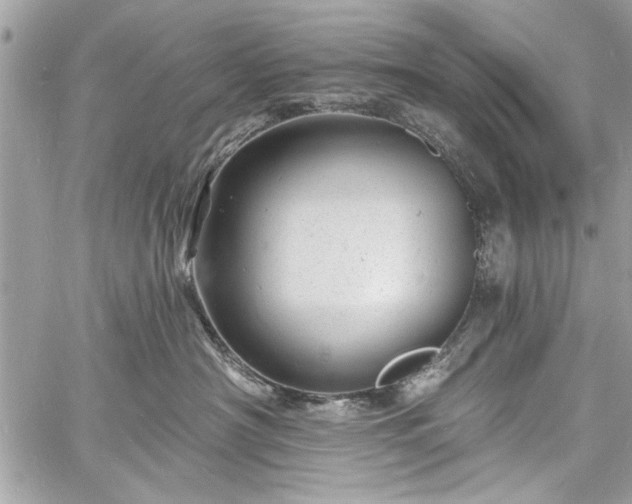 X0000060740430200511141138