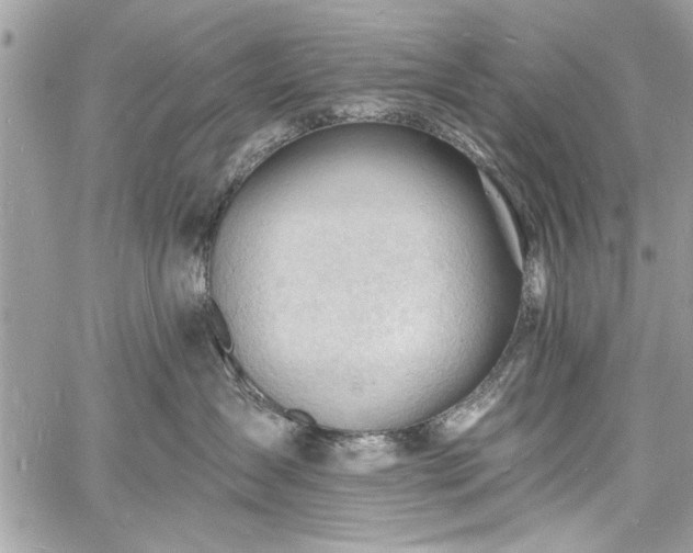 X0000060740431200511141138