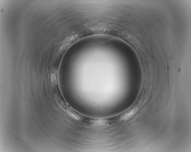 X0000060740432200511141138