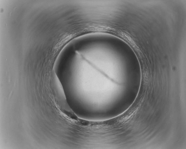 X0000060740433200511141137