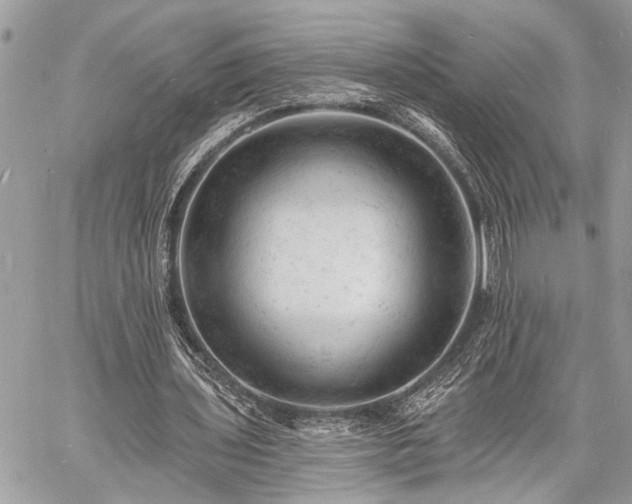 X0000060740435200511141137